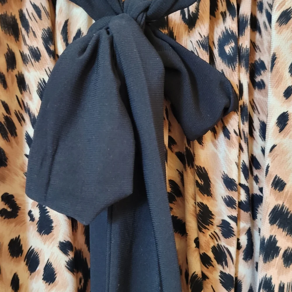 Leopard Print Mini Dress - Picture 4 of 4